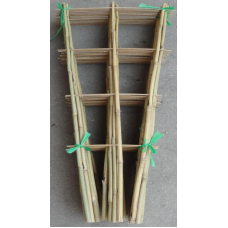 Bamboo Trellises